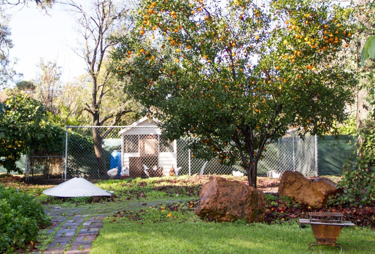 Pickering Brook Farview Guest Accommodation מראה חיצוני תמונה
